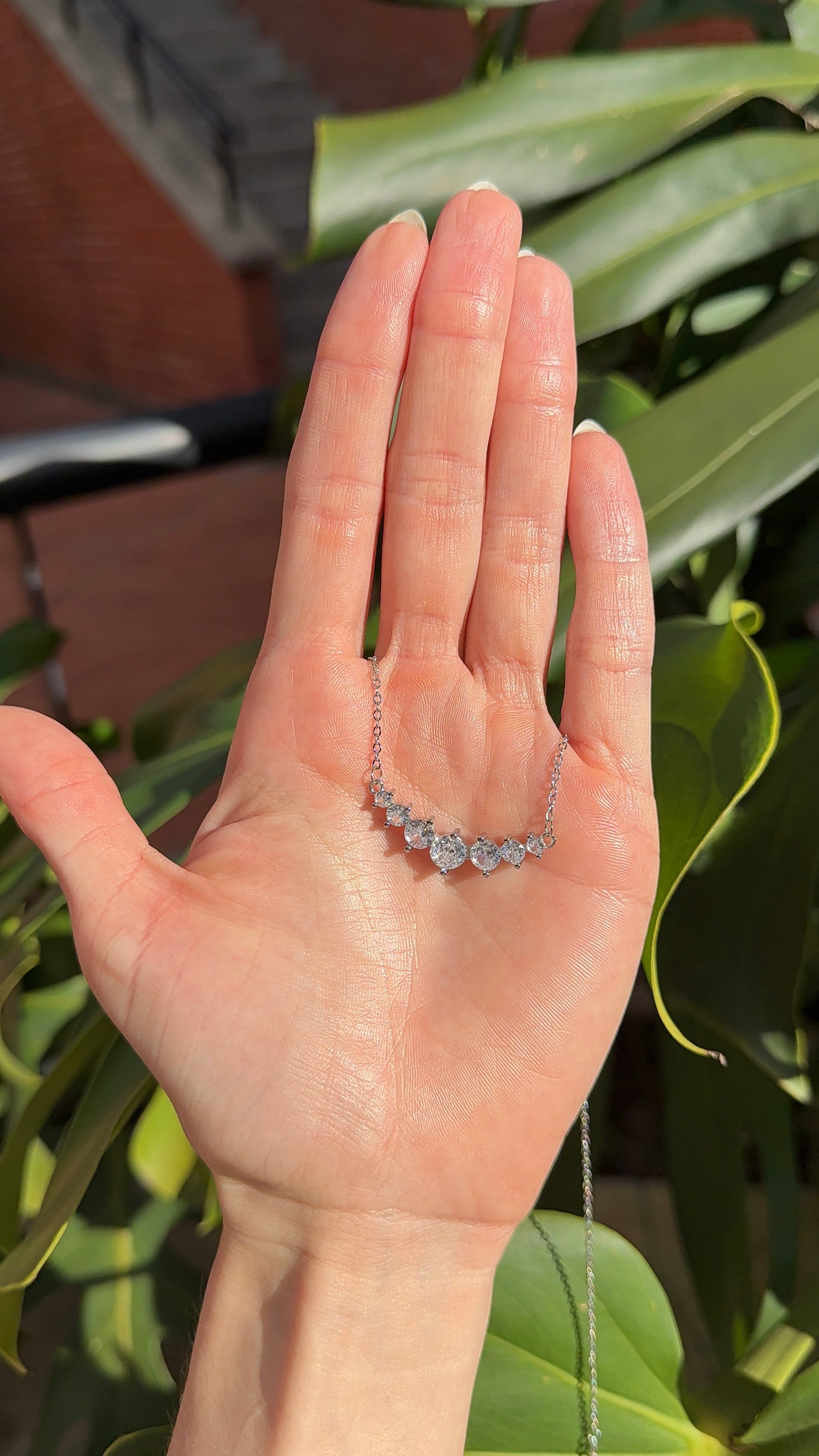Collar Stella.