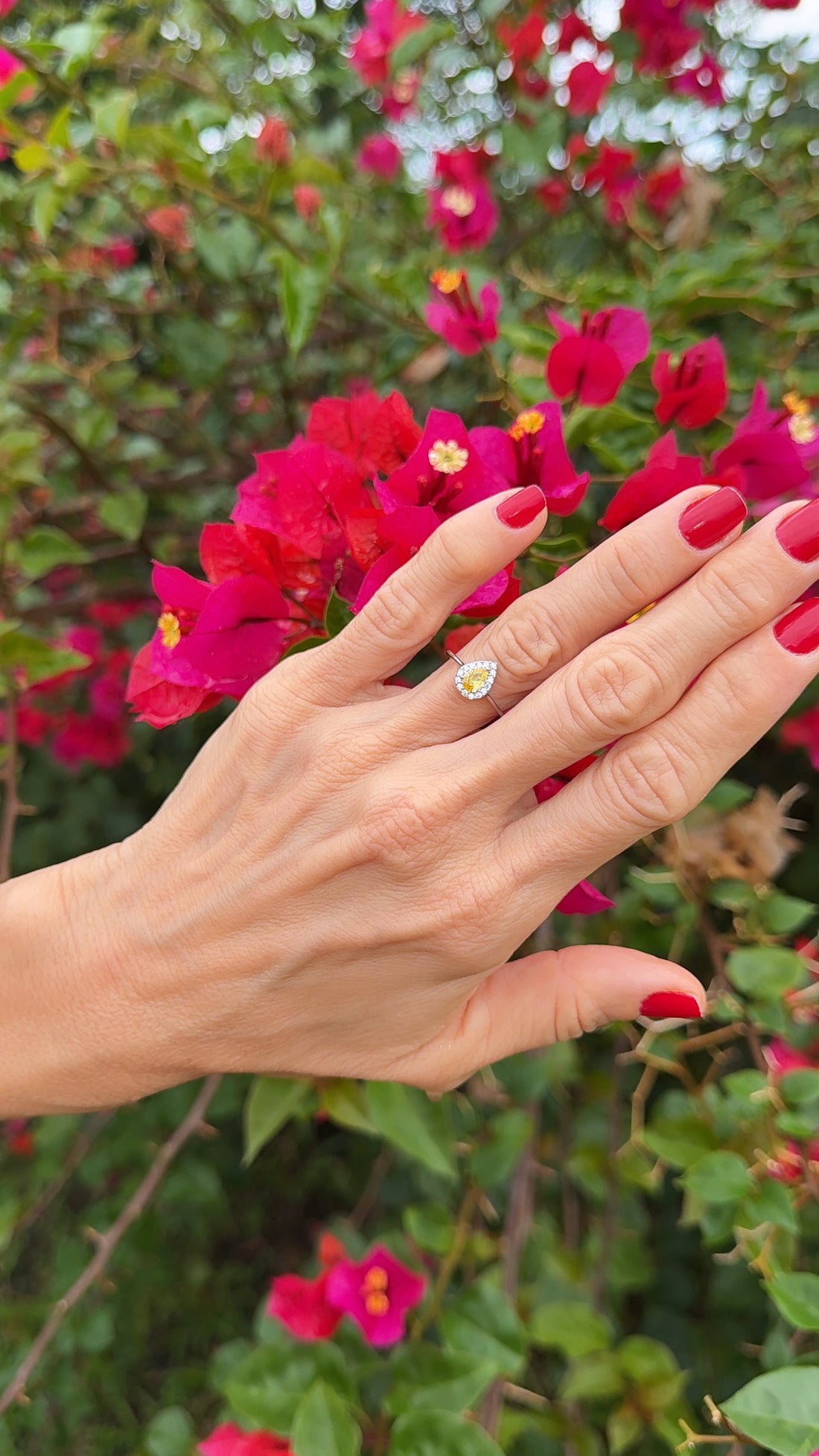 Anillo Elara circones.