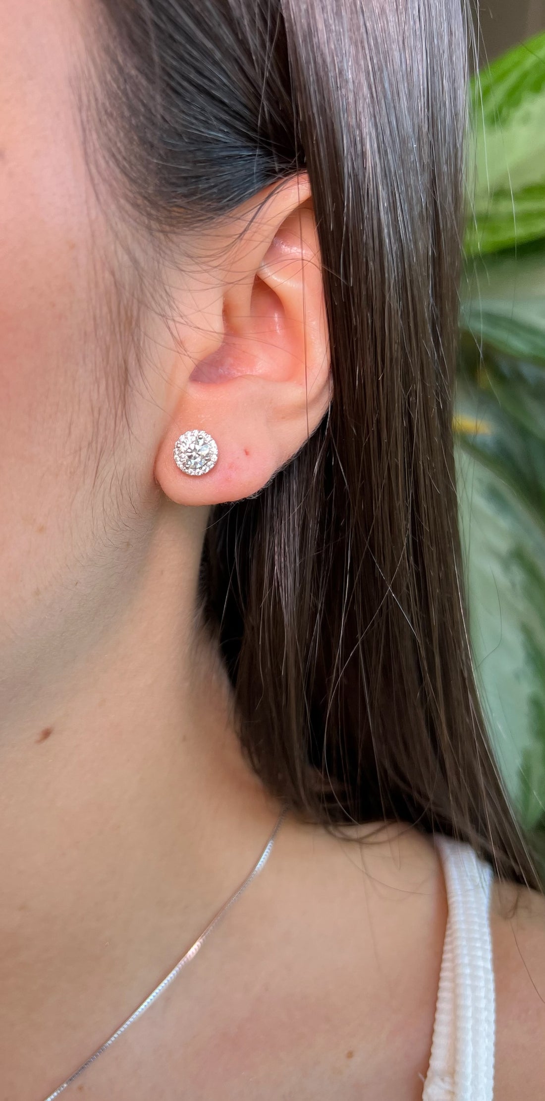 Set halo moissanita.