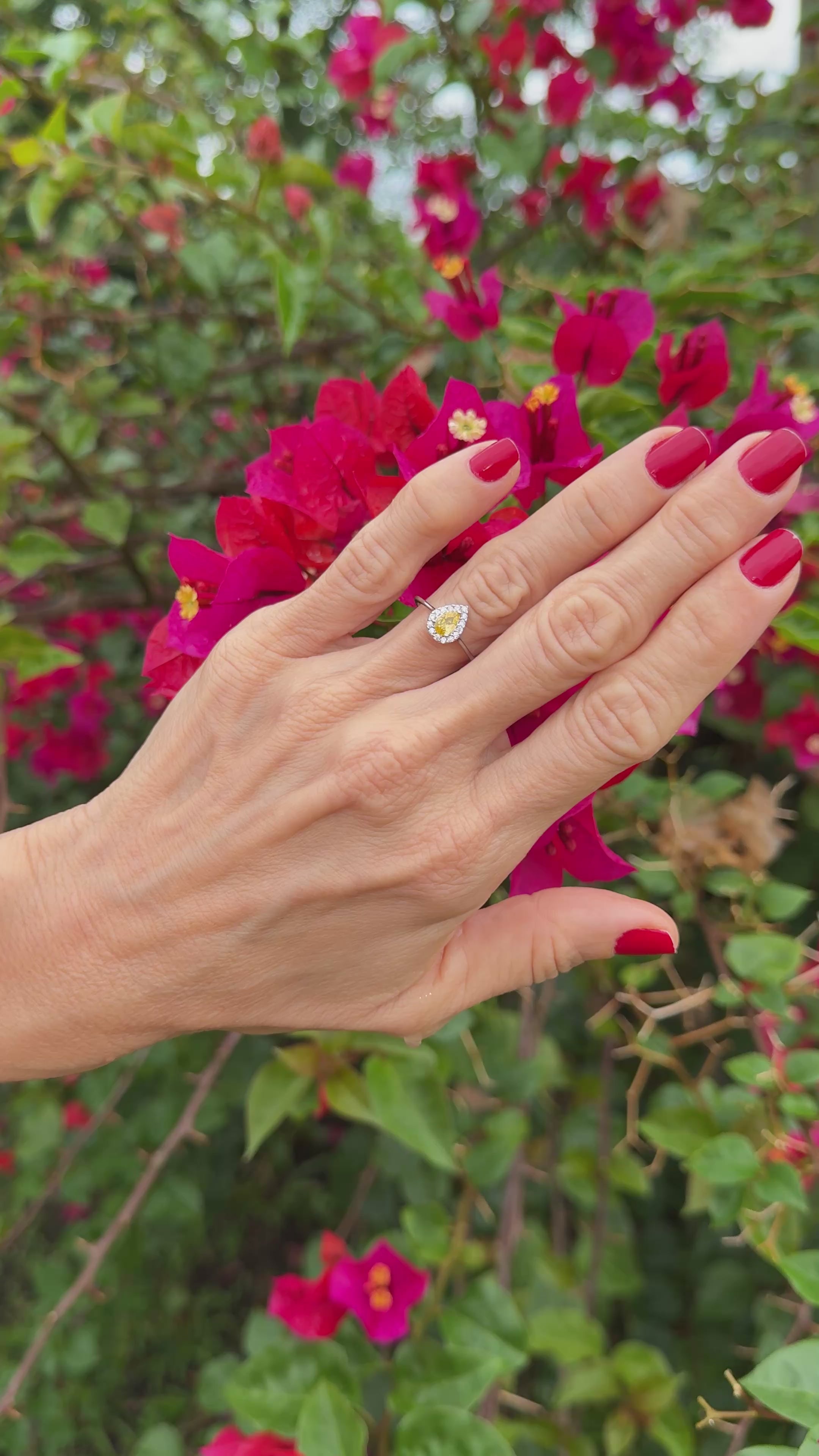 Anillo Elara circones.